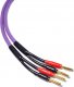 Kabel Melodika Banan x2 - Banan x2 6m fioletowy 1