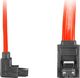 Lanberg SATA - SATA, 0.3m, Czerwony (CA-SASA-13CU-0030-R) 1