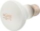 REPTI PLANET RP ZAROWKA DAYLIGHT FROSTED 50W 41022 2
