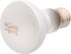 REPTI PLANET RP ZAROWKA DAYLIGHT FROSTED 75W 41023 3