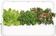 Click And Grow Click&Grow Inteligentna doniczka Smart Garden 9 White 2