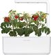 Click And Grow Click&Grow Kapsułki z nasionami Smart Soil Pomidorki koktajlowe 3pak 3