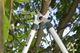 Sekator Gardena EasyCut 680B nożycowy 3