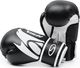 SMJ sport Rękawice bokserskie SMJ Hawk 2019 Black 10 oz 2