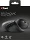 Mysz Trust Verro Wireless Ergonomic (23507) 11