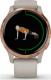 Zegarek sportowy Garmin Venu Beżowy  (010-02173-23) 6