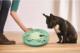 Outward Hound Nina Ottosson Dog Worker Green - gra edukacyjna [69541] 4