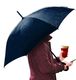 Platinet PLATINET UMBRELLA C HANDLE SEMI AUTO POLYESTER BLUE 45007 3