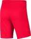 Nike JR Park III Knit shorty 635 : Rozmiar - 164 cm (BV6865-635) - 22070_191013 3