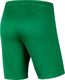Nike Szorty JR Park III Knit 302 r. 164 cm (BV6865-302) 3