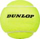 Dunlop Piłki do tenisa ziemnego Dunlop Australian Open 4szt 3