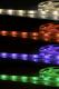 Taśma LED Polux 5m 120szt./m 20W/m 12V RGB multikolor 2