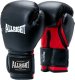 Allright RĘKAWICE BOKSERSKIE ALLRIGHT MASTER 12oz uniwersalny 1