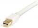 Kabel StarTech DisplayPort Mini - DisplayPort 2m biały (MDP2DPMM2MW) 2