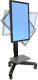 Ergotron Stojak podłogowy 24-192-085 50'' - 75'' 3