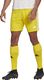 Adidas Spodenki adidas SQUADRA 21 Short GN5772 GN5772 żółty XL 3