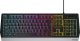 Klawiatura GENESIS Rhod 300 RGB (NKG-1528) 1