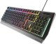 Klawiatura GENESIS Rhod 300 RGB (NKG-1528) 7