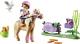 Playmobil Collecting Pony Icelandic (70514) 2