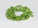 Suszarka Concept Solution SO1020 3