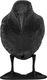 Bradas Odstraszacz ptaków Kruk 24cm 8045 3