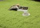 Strado Dywan pokojowy Shaggy 100x150 GreenGrass (Zielony) 10