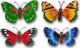 Saska Garden Motyl dekoracyjny 26cm zielony 1