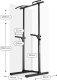 Zipro Pull Up Bar + Gumy Mini Band 3