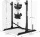 Zipro Barbell frame Pro + Gumy Mini Band 3