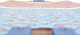 Deskorolka Tempish Longboard Nautical C 2021 5