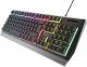 Klawiatura GENESIS Rhod 300 RGB (NKG-1817) 2