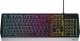 Klawiatura GENESIS Rhod 300 RGB (NKG-1817) 1