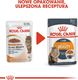 Royal Canin ROYAL CANIN Intense Beauty 24x85g w galaretce karma mokra dla kotów dorosłych, zdrowa skóra, piękna sierść 2