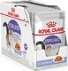 Royal Canin ROYAL CANIN Sterilised 24x85g karma mokra w galaretce dla kotów dorosłych, sterylizowanych 2