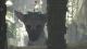 Sony The Last Guardian PS4 8