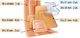 Viscoplast Plaster sportowy Mix 15szt. 2