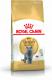 Royal Canin British Shorthair karma sucha dla kotów dorosłych rasy brytyjskiej krótkowłosej 4kg 1