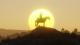 Red Dead Redemption 2 PS4 17