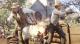 Red Dead Redemption 2 PS4 20