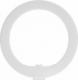 Lampa pierścieniowa Newell RL-10A LED Arctic White + statyw 2