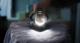 Generator pary Tefal Pro Express Vision GV9812 7