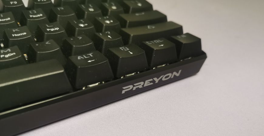 PREYON Brown All Claw