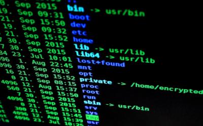 Jaki firewall wybrać? Polecane produkty