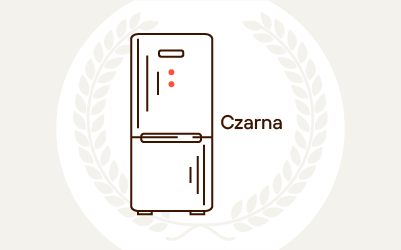 Ranking czarnych lodówek 2026