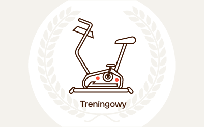 Ranking rowerów stacjonarnych 2026