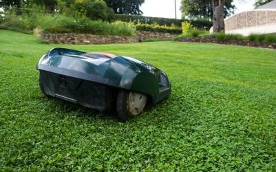 Jak wybrać robot koszący? Jaki robot ogrodowy będzie najlepszy?