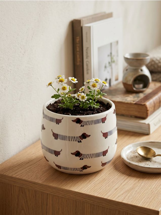 Blumentopf mit Dackelmotiv