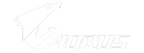 AORUS